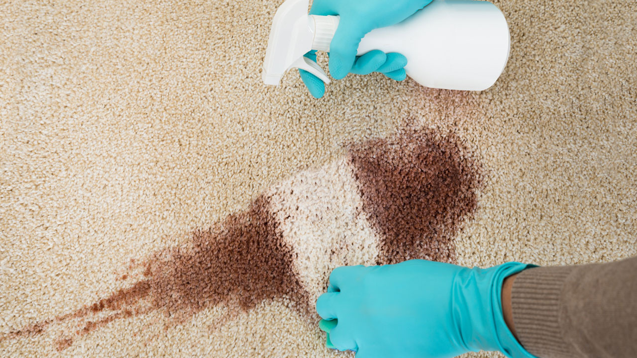 Tips on Cleaning Your Carpet to Prepare for the Holidays