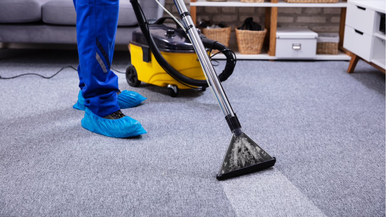 The 3 Easiest Types of Carpets to Clean and Maintain